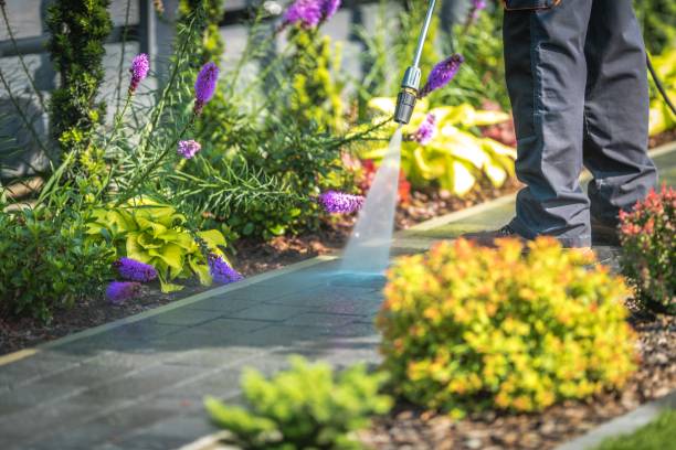 Best Boat and Dock Cleaning  in Edgemoor, DE
