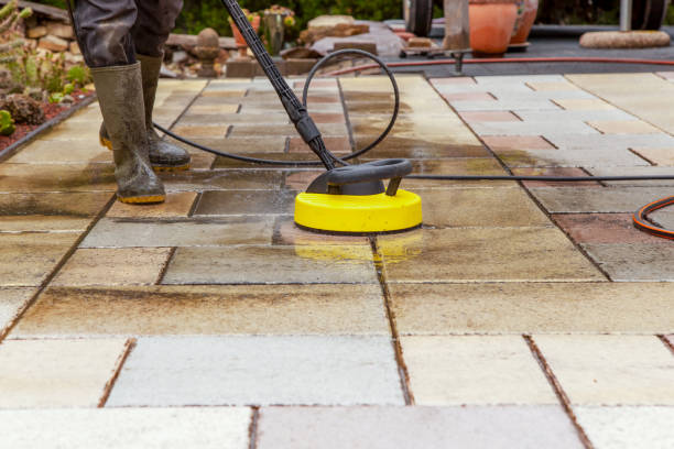Best Pre-Holiday Cleaning  in Edgemoor, DE
