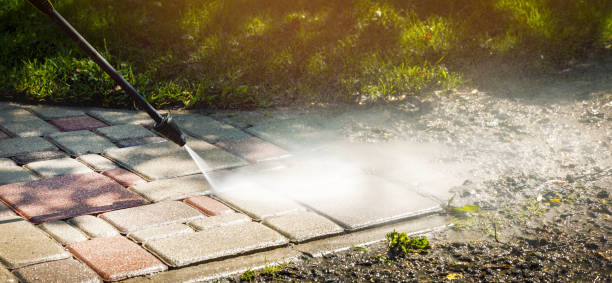Best Roof Washing  in Edgemoor, DE